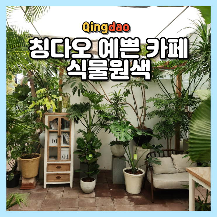  칭다오 예쁜카페 가볼만한곳 식물원색 위치 메뉴 분위기 방문 후기
