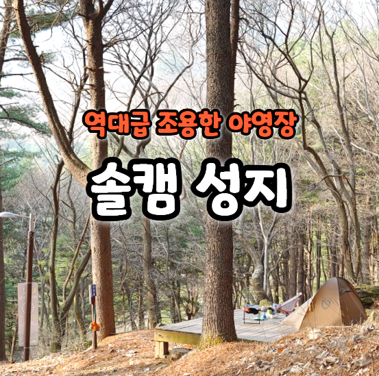  재오픈하자마자 뛰어간 야영장, 축령산자연휴양림