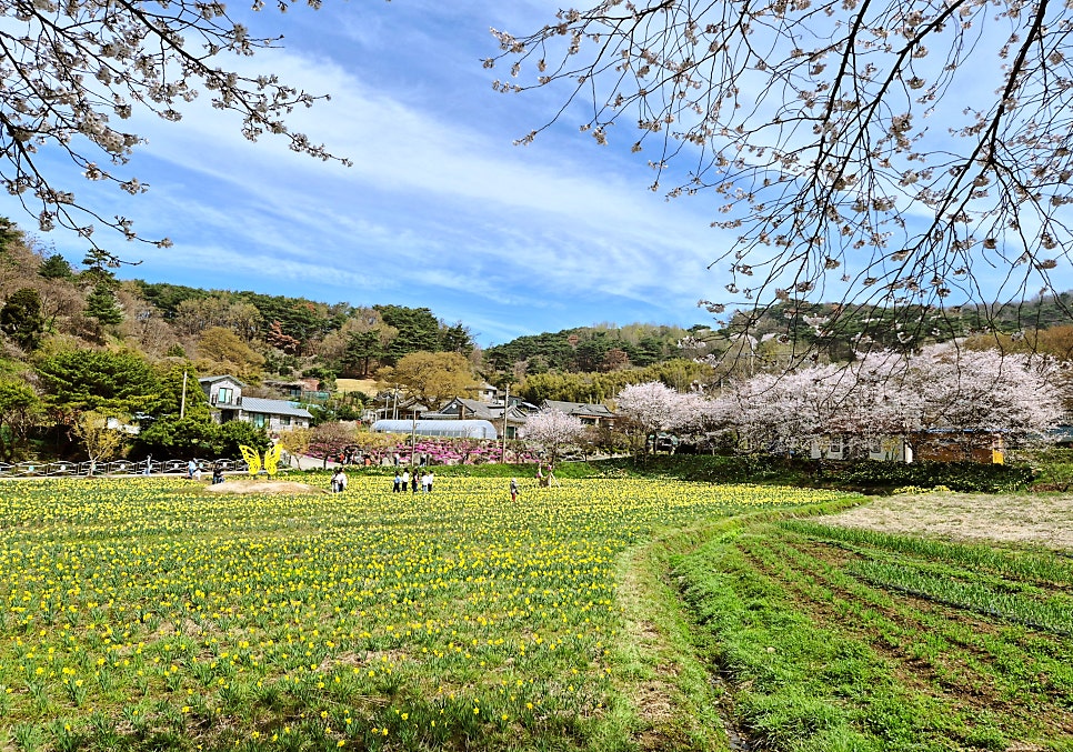 옥토 사진 2