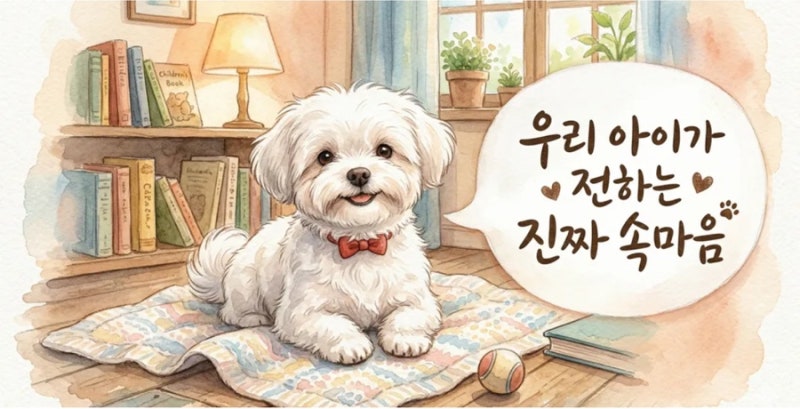 사진 10
