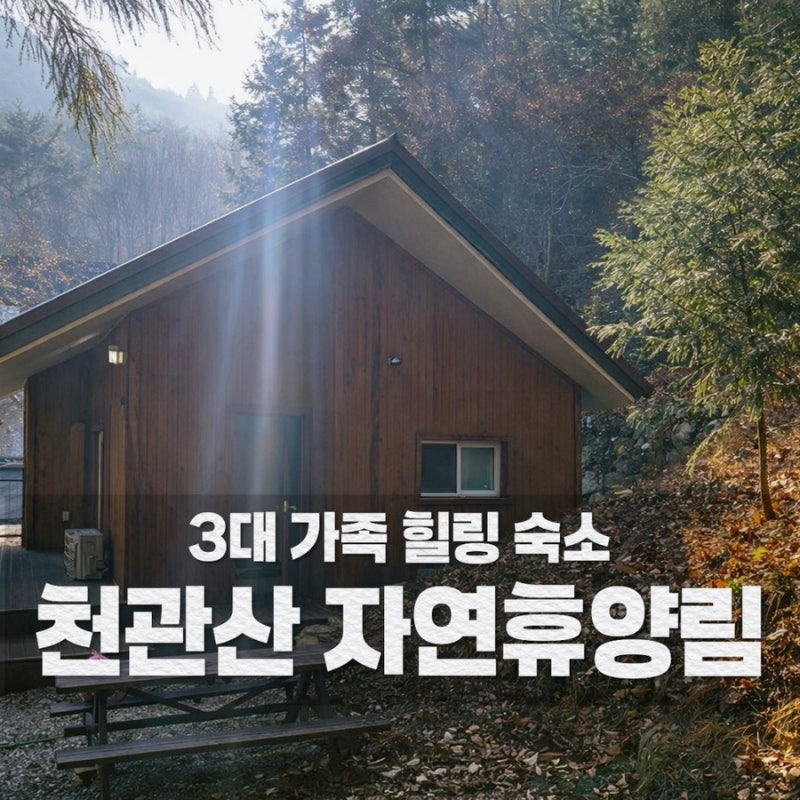 사진 5