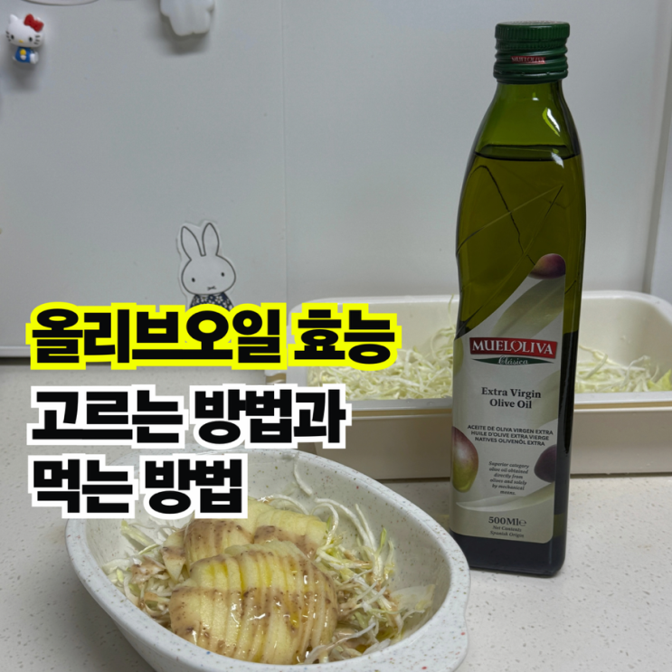  엑스트라버진 올리브오일 효능과 무엘올리바 공복 활용법 정리