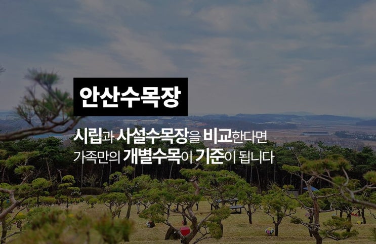  안산 수목장 시립과 사설을 비교해 본다면
