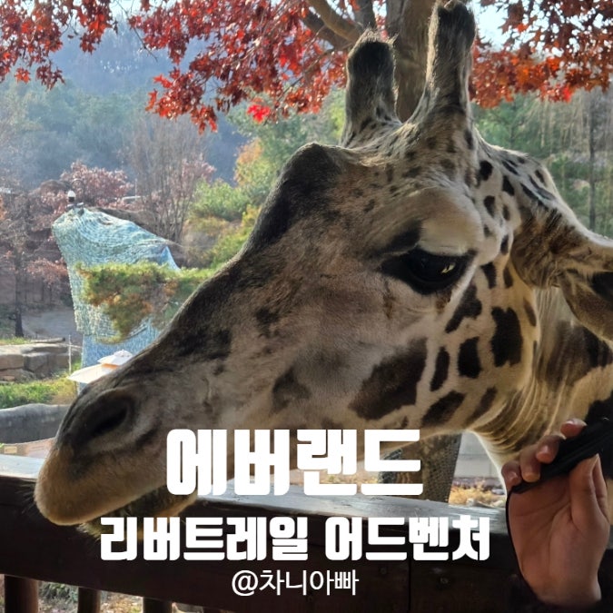  에버랜드 리버트레일 어드벤처 아이와 방문 후기