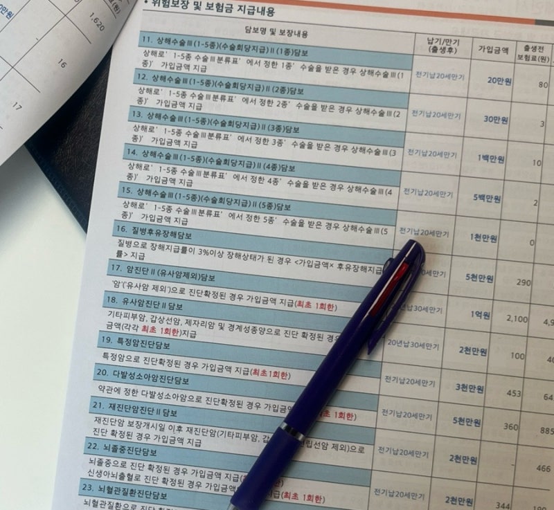 현대해상 태아보험 후기| 설계안공유, 주의사항, 산모특약사은품 비교, 현금페이백 최대로 ....