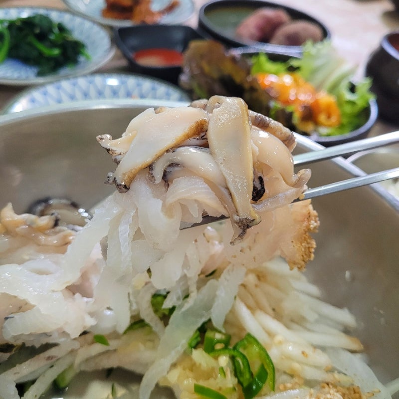 포항 양덕 점심 맛집, 물회는 여기 이길 곳 없어요. 동해참가자미회
