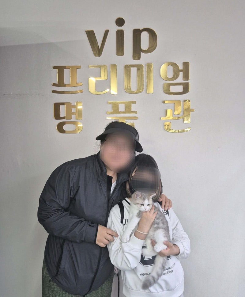사진 7