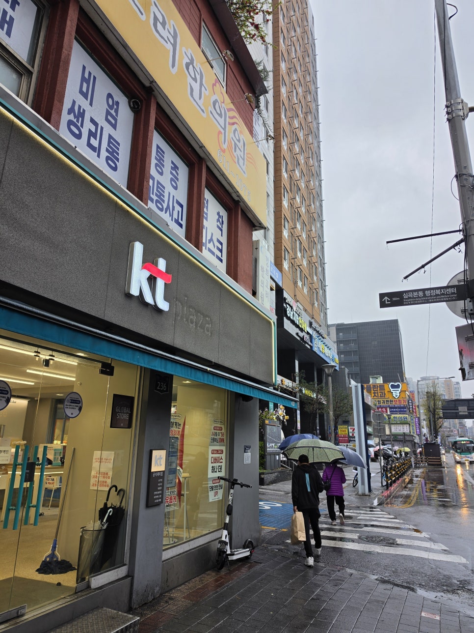 은행나무집 사진 3