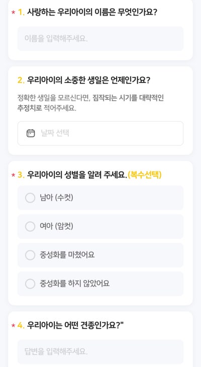 사진 11