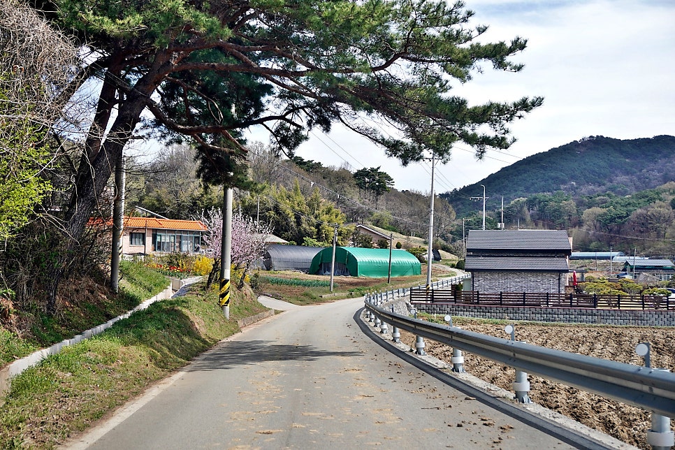 더힐링식물원 야영장 사진 3