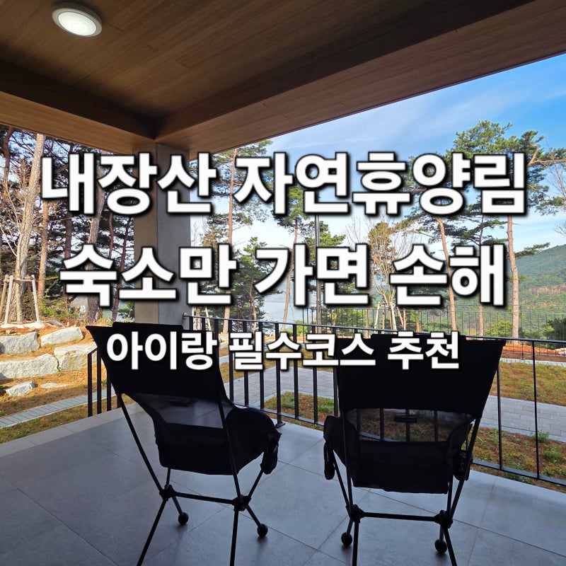 내장산 자연휴양림 주변 아이와 가볼만한곳 정읍 놀거리 총정리 (기적의놀이터·실내체험 포....