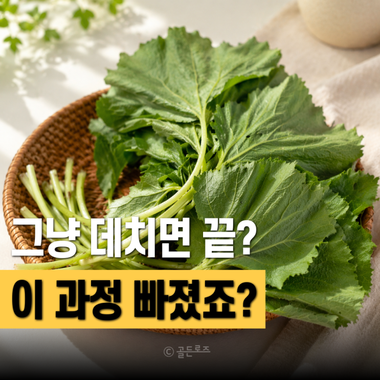  머위잎 먹는법 그냥 데치면 되는 줄 알았죠 "이 과정"이 더 중요합니다