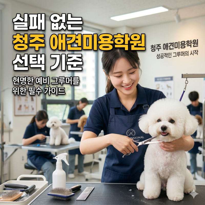 청주 애견미용학원 선택 시 반드시 확인해야 할 실무 역량 강화 포인트