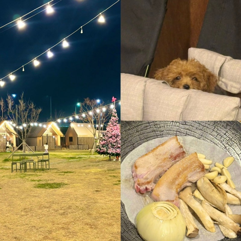 [시흥 거북섬 맛집] "진짜 몸만 가도 될까? 반려동물 동반 가능한 바베큐팩토리 리얼 후기"