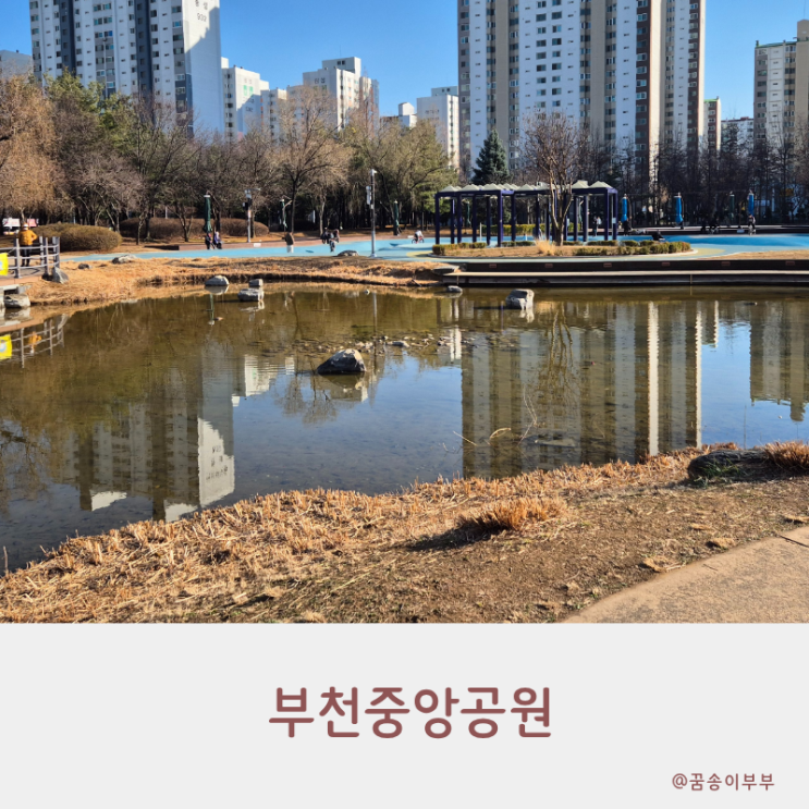  부천중앙공원 나들이 주차와 맨발걷기 코스 산책 후기