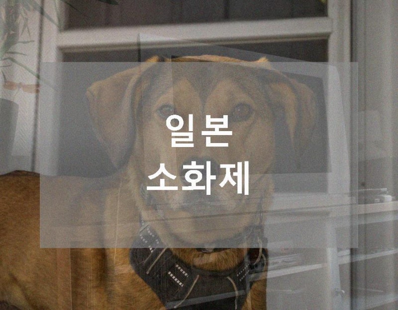 일본 소화제 약으로 알려져 있어요.