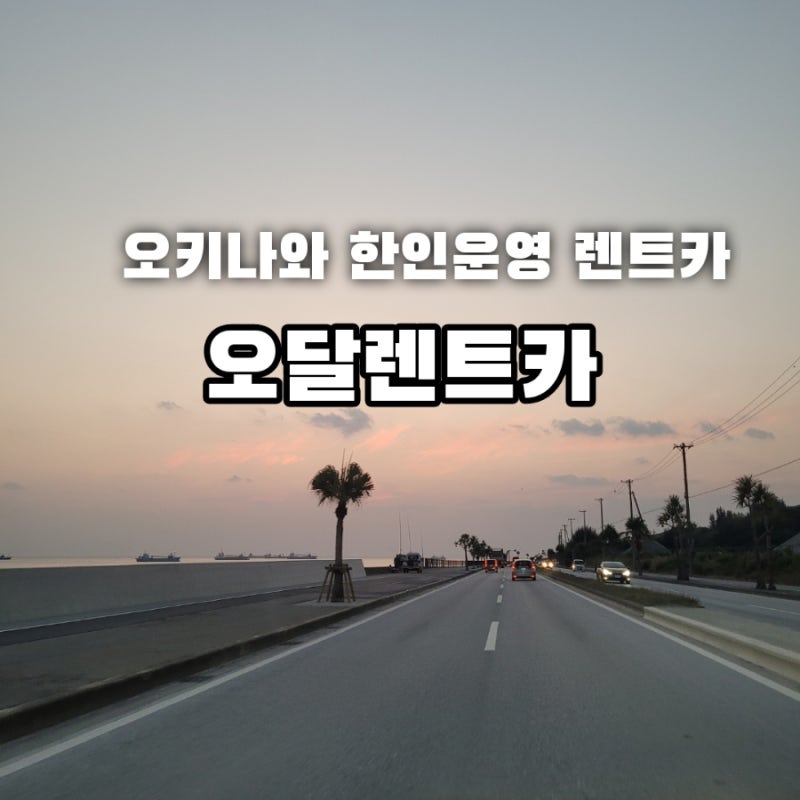 일본 오키나와 여행 렌트카 "오달렌트카" 후기 / 24시 대응 한인렌터카