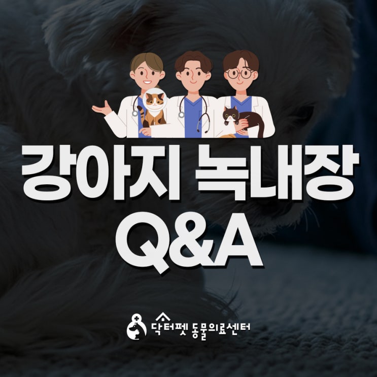  강아지 녹내장 간단 Q&A