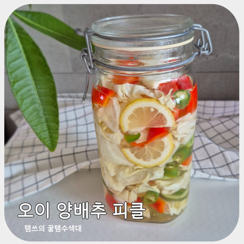 초간단 오이 양배추 피클 만들기 새콤달콤 실패없는 절임물 비율 레시피