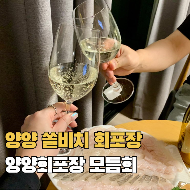  양양 쏠비치 회포장 추천 양양회포장 모듬회 내돈내산 솔직후기