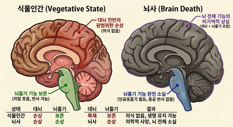 [호기심세상]