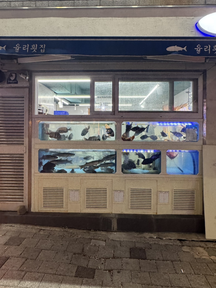 율리횟집 사진 4
