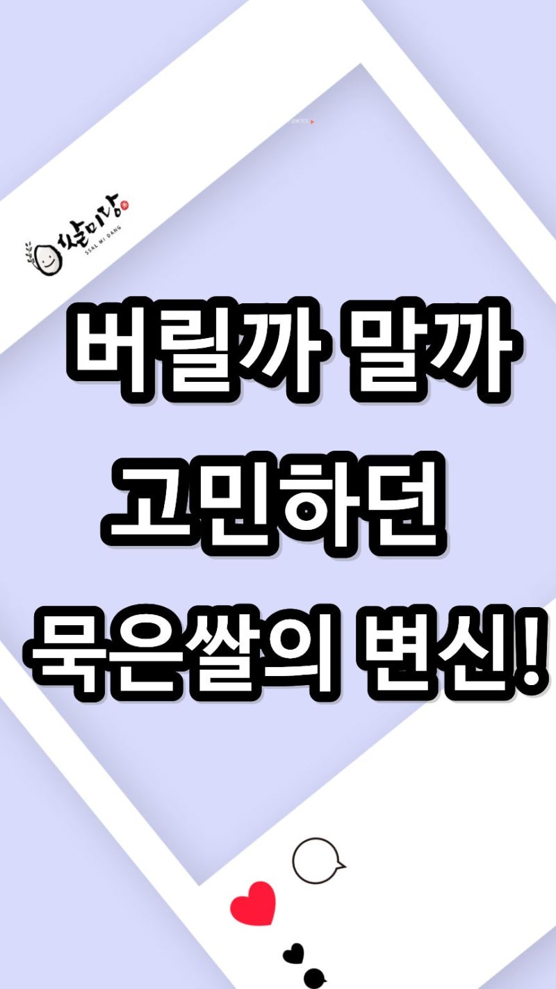 묵은쌀을 햅쌀처럼 되살리는 비법 6가지 냄새 제거부터 윤기 흐르는 밥 짓기와 보관법 정리