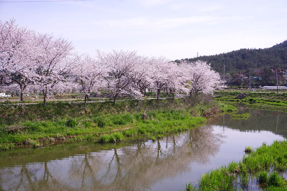 삭선 사진 1