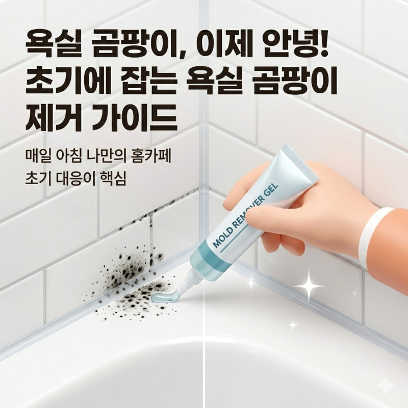 화장실 욕실 곰팡이 제거 방법 실리콘 다이소 곰팡이제거제 추천
