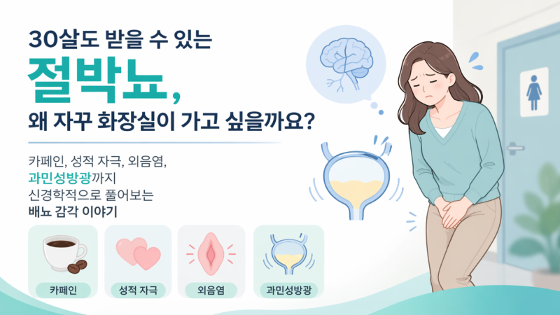 절박뇨, 왜 자꾸 화장실이 가고 싶을까요? 카페인, 성적 자극, 외음염, 과민성방광까지 신경....