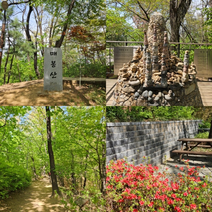  서울 도곡근린공원 매봉산 초보 등산코스 산 추천 걷기 좋은 산책 길 산책