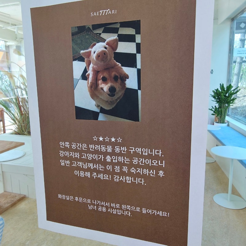사진 8