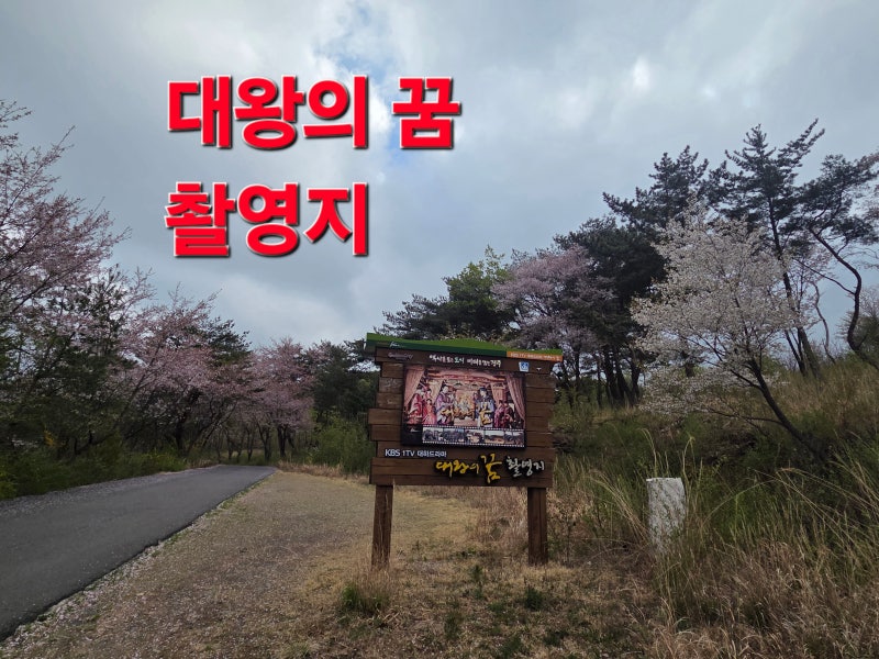 사진 7