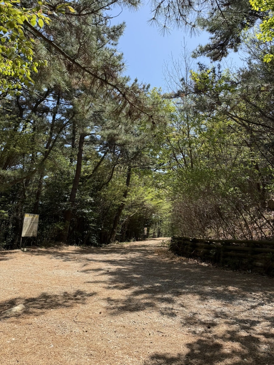 구남정 사진 2