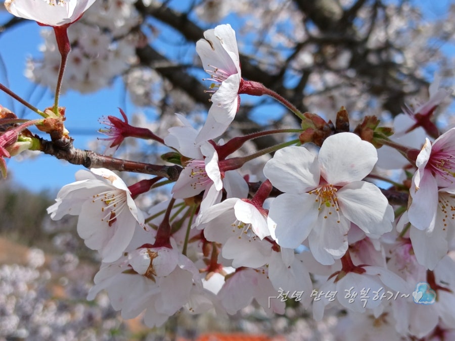 산둥성 사진 2