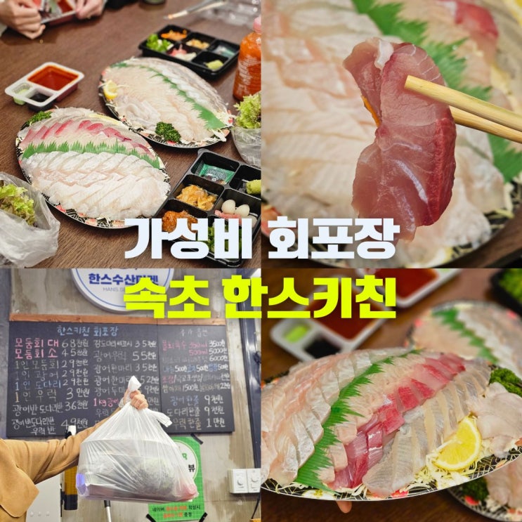  속초 중앙시장 회포장 맛집 회센터 한스키친 물회 청초호 관광수산시장 먹거리