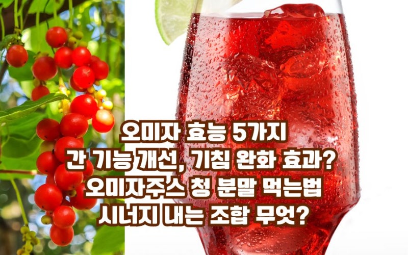 오미자 효능 간과 기침 완화에 좋은 차 청 주스 분말 먹는법 시너지 조합 누가 먹으면 좋을까....