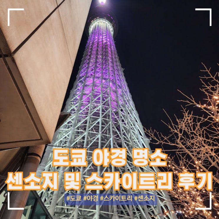  도쿄 야경 명소 센소지 근처 스카이트리 방문 시간 후기