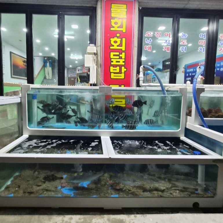 파도횟집 사진 4