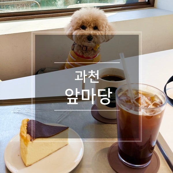 사진 5