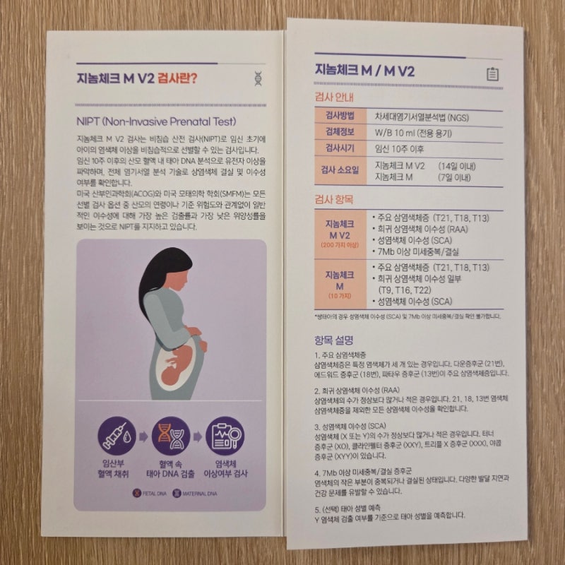 2026 니프티검사 비용 및 환급 방법 (35세 이상 임산부 지원금 50만 원)