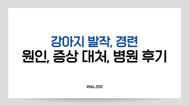 강아지 경련, 발작 원인과 병원 방문 MRI검사 후기(비용), 약 먹고 좋아진 후기 정리