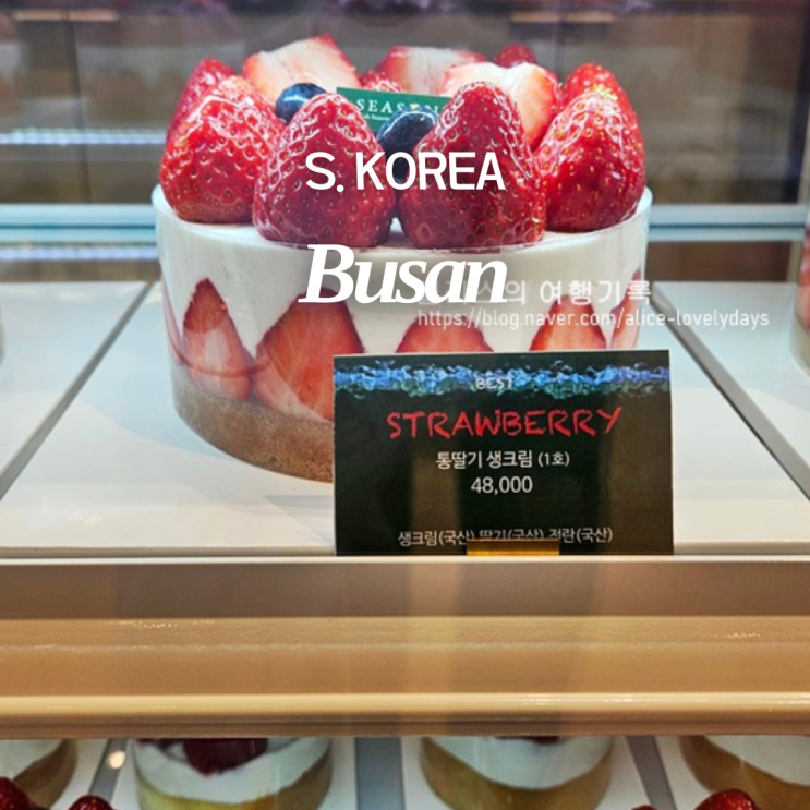  센텀시티역 맛집 케이크 시즈니크 생크림 딸기 케이크 메뉴 가격 후기