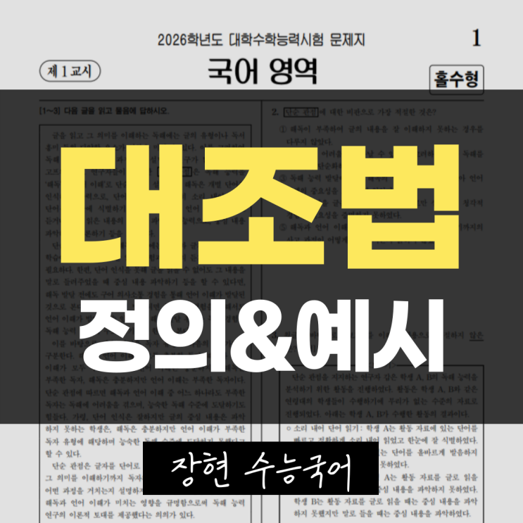  대비 대조법 차이, 명확한 정의와 예시ㅣ장현국어