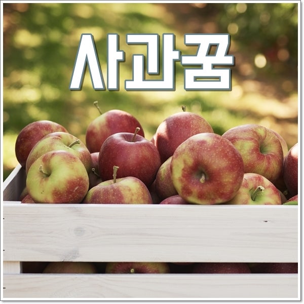 사과꿈 해몽 빨간사과꿈 길몽 가득한 풀이 모음