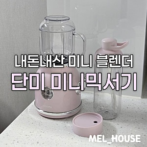 미니 믹서기 추천: 집들이 선물 단미 미니블렌더 내돈내산사용후기