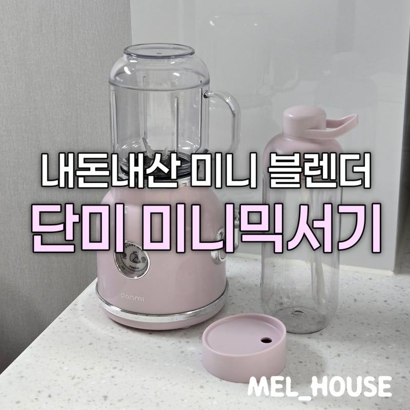 미니 믹서기 추천: 집들이 선물 단미 미니블렌더 내돈내산사용후기