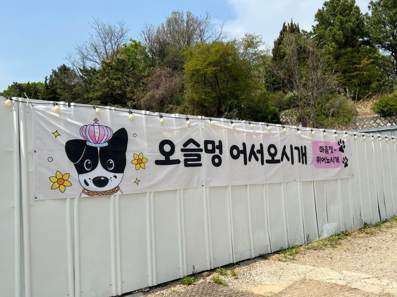사진 4