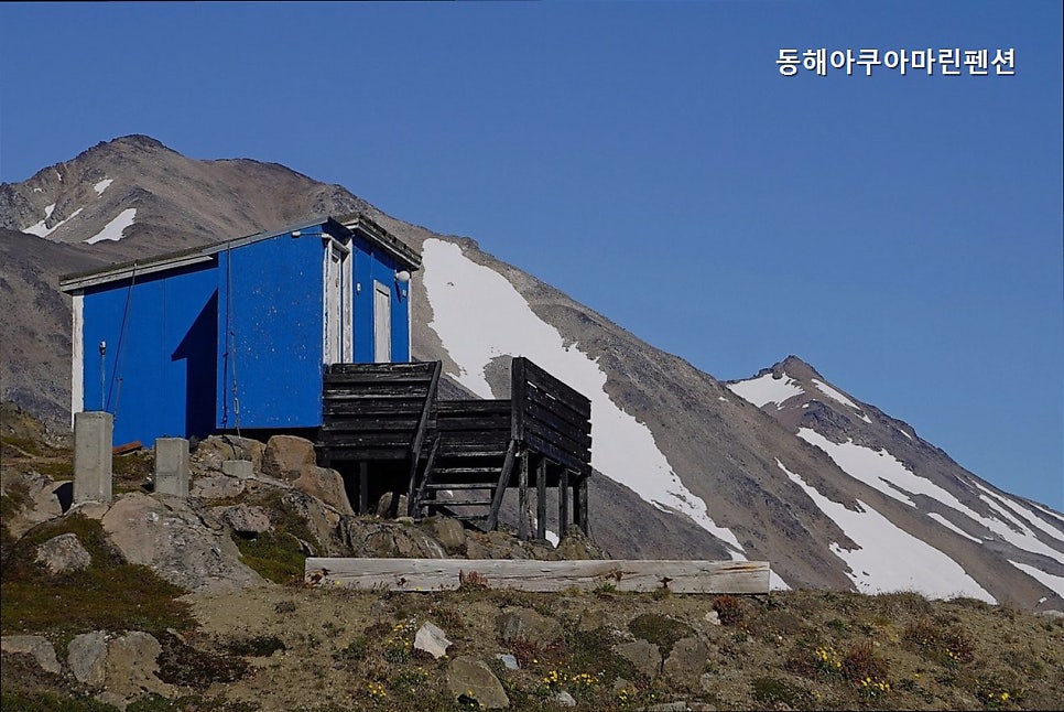 동해아쿠아마린펜션 사진 2