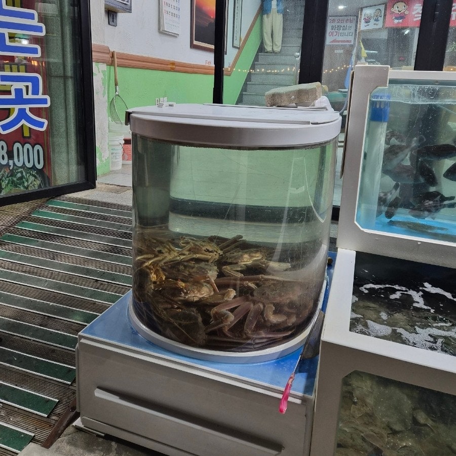 파도횟집 사진 5